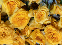 Yellow Bud Roses (100gm packet)- Pre-Order Only